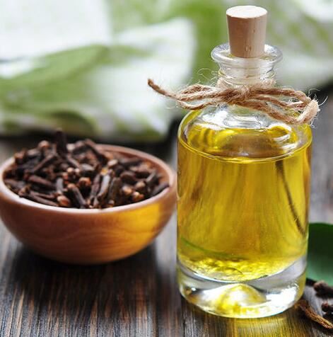 Organic clove oil57165216085