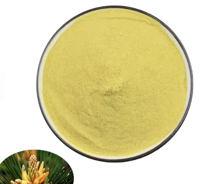 Organic Pine Pollen Powderc0dc4700 C1a9 4516 Bc54 628266455ad7