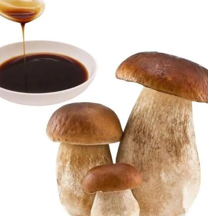 Liquid Mushroom Extract61c82dd9 C277 43b8 B487 72ef32e154ae