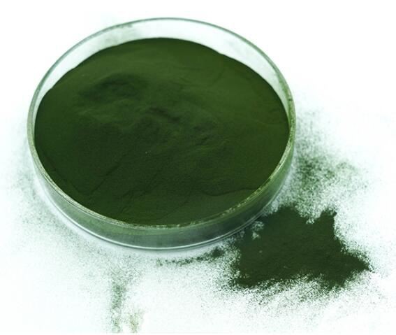 Bulk Chlorella Powder28122450222