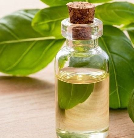 Cloves oil29548940775