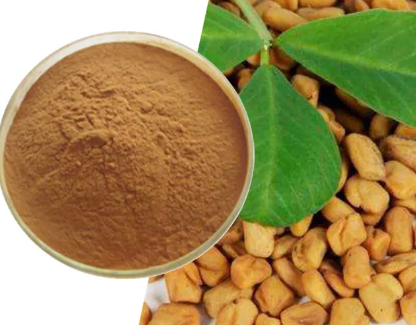 Fenugreek Seed Extract7bf2ecc0 6c5b 431a 8d23 E27049c8d4a2