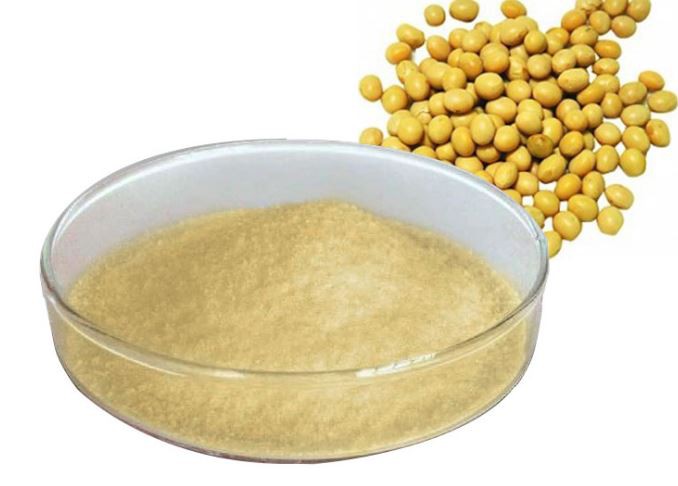 Soy extract10397035104