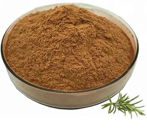 Rosemary Extract Bulk26094634914