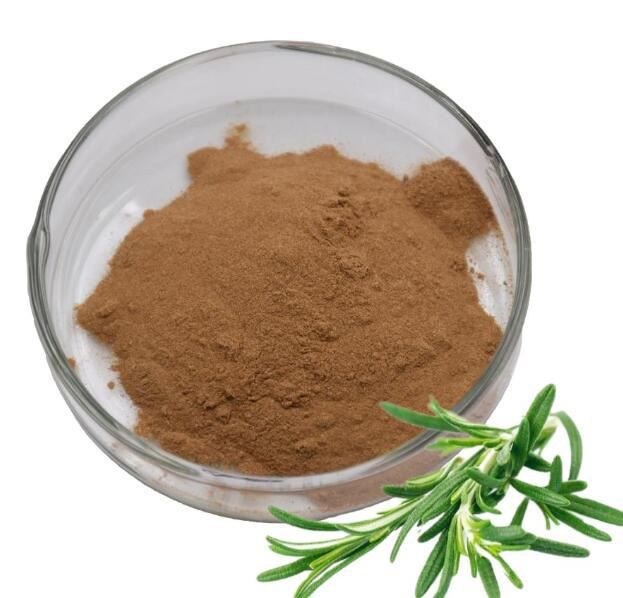 Organic Rosemary Leaf Extract13230405980