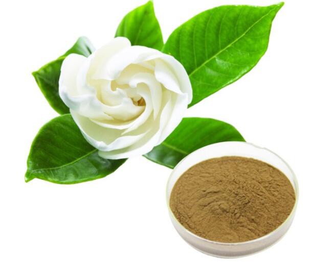 Gardenia Extract24311980931