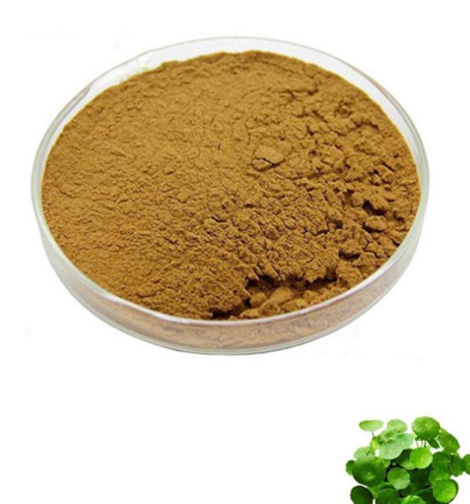 Lysimachia Extract34358766115