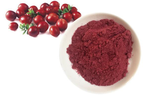 Cranberry Extract Powder09191210943