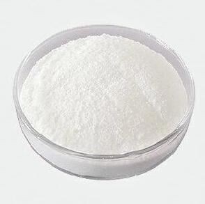 Lysine Bulk Powders26052578810