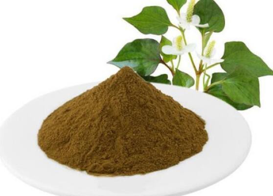 Houttuynia cordata extract36493920845