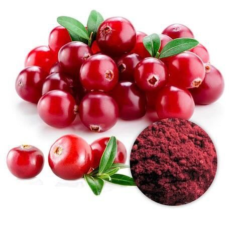 Cranberry Extract18424981871