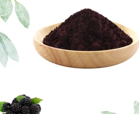 Freeze Dried Black Raspberry Powder48051050814