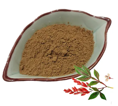 Quassia Amara Extract07a5f43e 046c 48c2 8d22 0bf907af1f3a