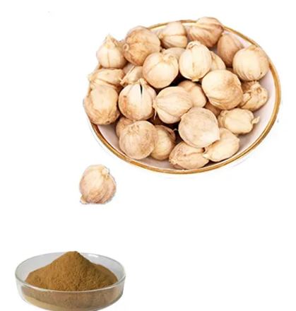 Cardamom Seed Extract6f3ddcc6 Fd71 4861 9883 91a41ec20f1e