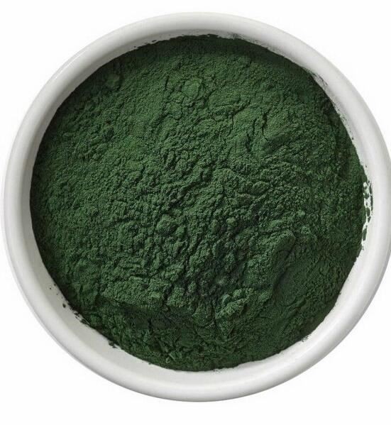 Chlorella Wholesale34555851490