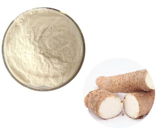 Wild Yam Extract39569432601