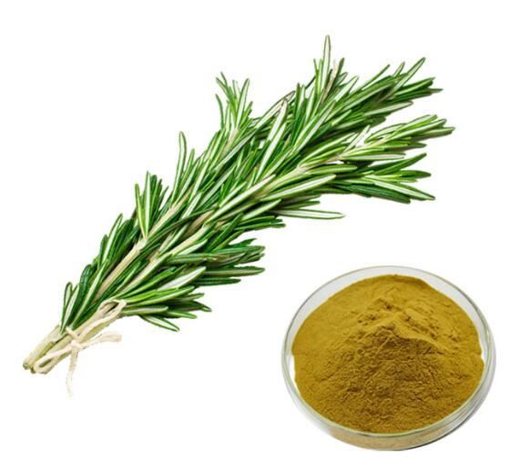 Rosemary powder52168249467