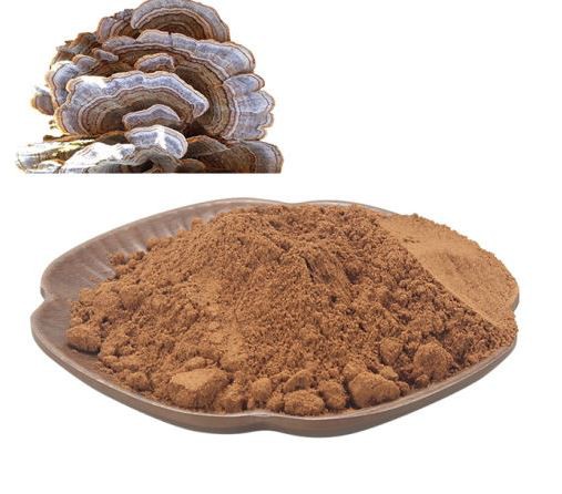 Turkey Tail Mushroom Powder28155299045