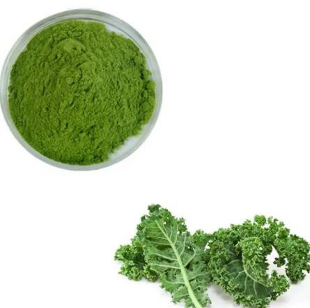 Freeze dried kale powder506792ff 86e9 45a4 ac63 c8f0d5a80fb0