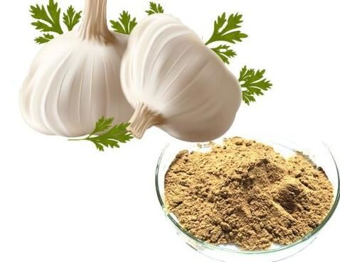 Garlic Extract Allicin41269573069