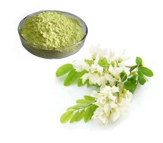 Sophora Japonica Extract15281682454