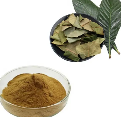 Loquat Leaf Extract6d31f2cd E60c 40fc 8f2c 9f4f549fee25