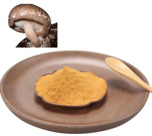 Shiitake Mushroom Powder57240372498