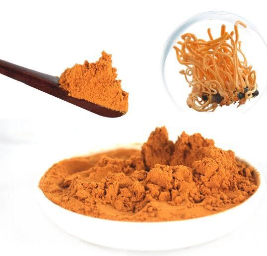 Cordyceps Militaris Powder20391790710