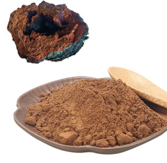 Chaga Mushroom Powder38531199254