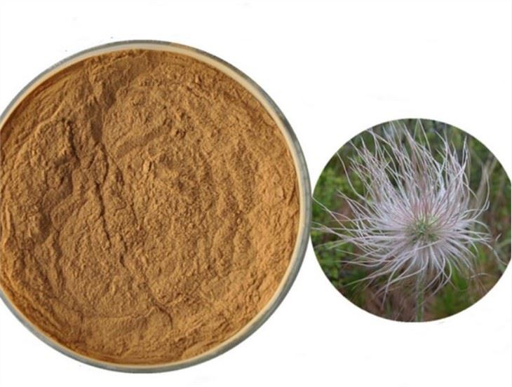 Pulsatilla Extract22537130113