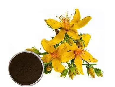 St John S Wort Extract52522853711