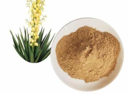 Yucca Schidigera Extract29352219501