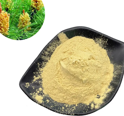 Pine pollen powder78c07480 168c 44c2 b54e 45d04dfd87c6