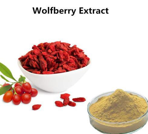 Goji Berry Powder Bulk40599012087