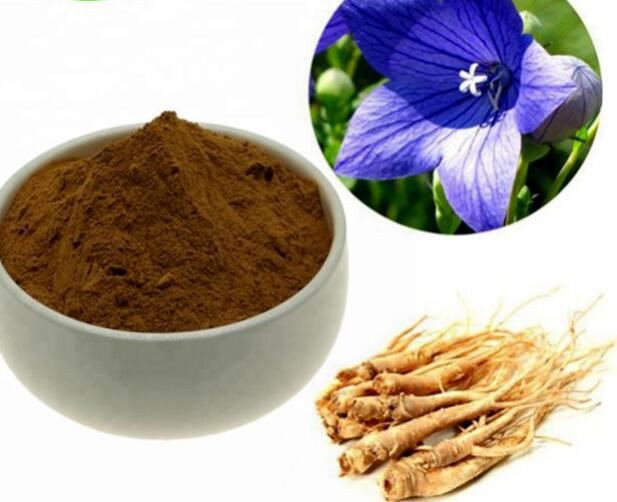 Platycodon Grandiflorum Extract59063950648