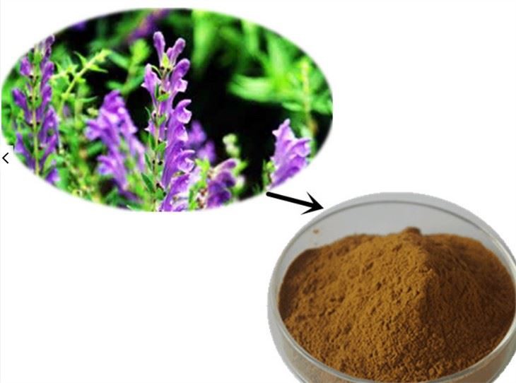 Scutellaria Baicalensis Extract46089207052