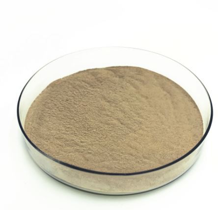 Dried Aspergillus Niger Fermentation Extract21069474721