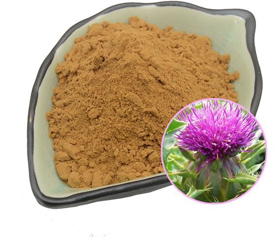 Milk thistle extract20505378457