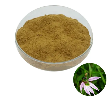 Lobelia herb powder766b6e26 2fa6 424a b97a b4e3da8fcd7d