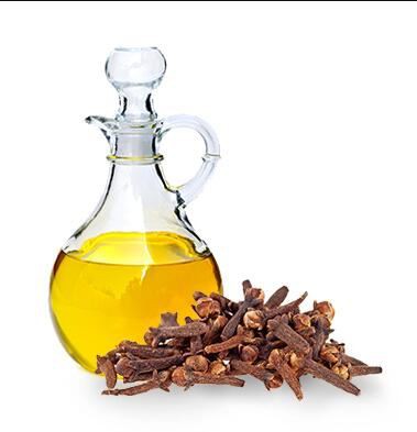 Clove Oil Wholesale17527792218