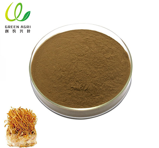 Cordyceps Militaris Extract