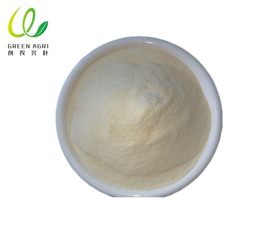 xanthan gum powder