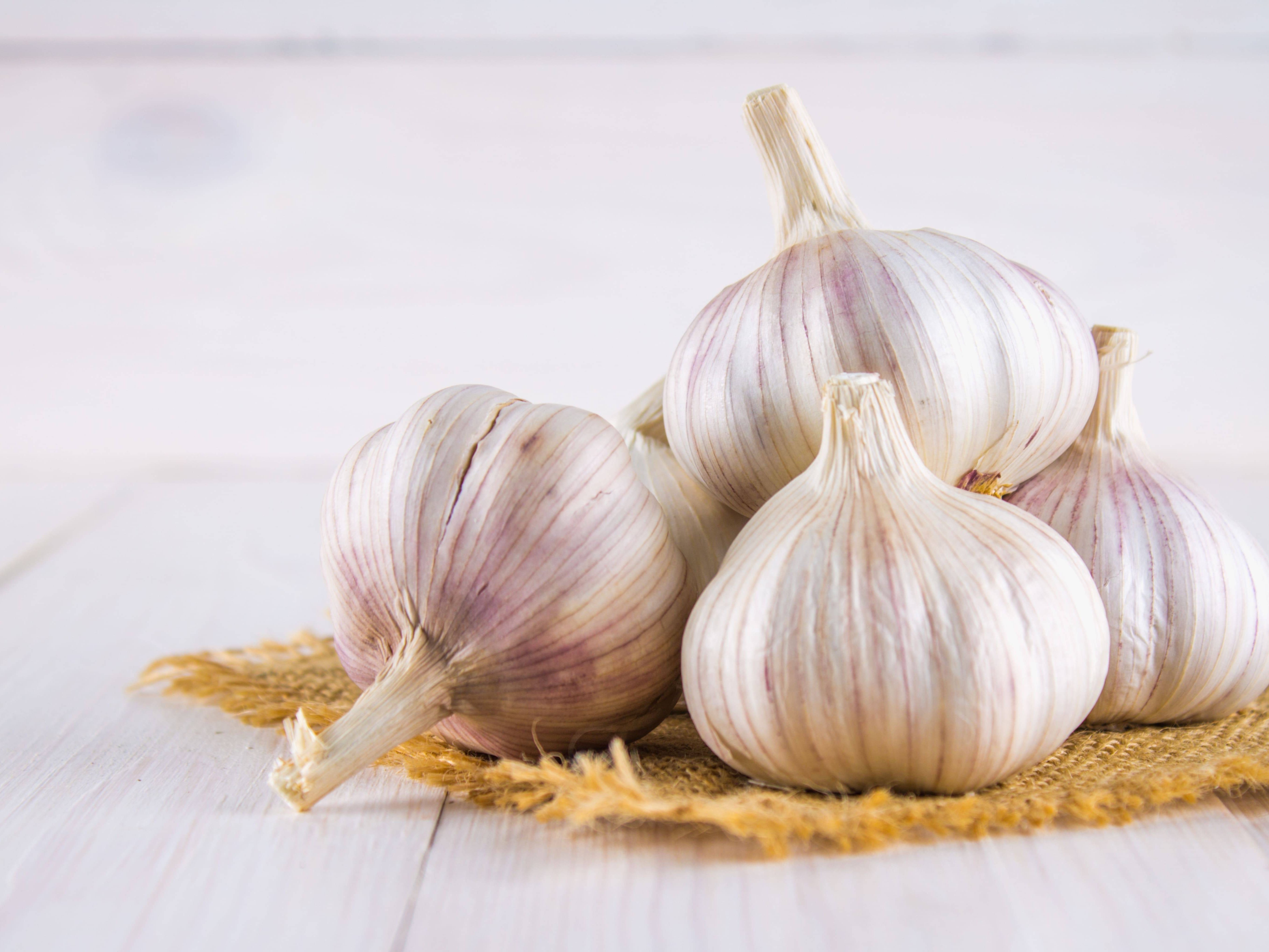 garlic 