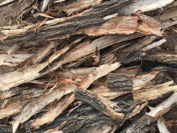 Slippery Elm Bark