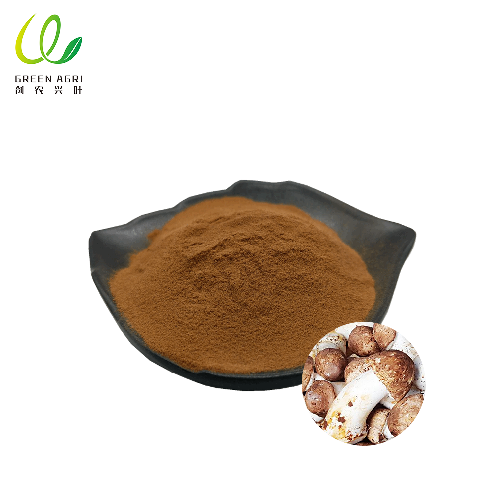 agaricus blazei mushroom powder