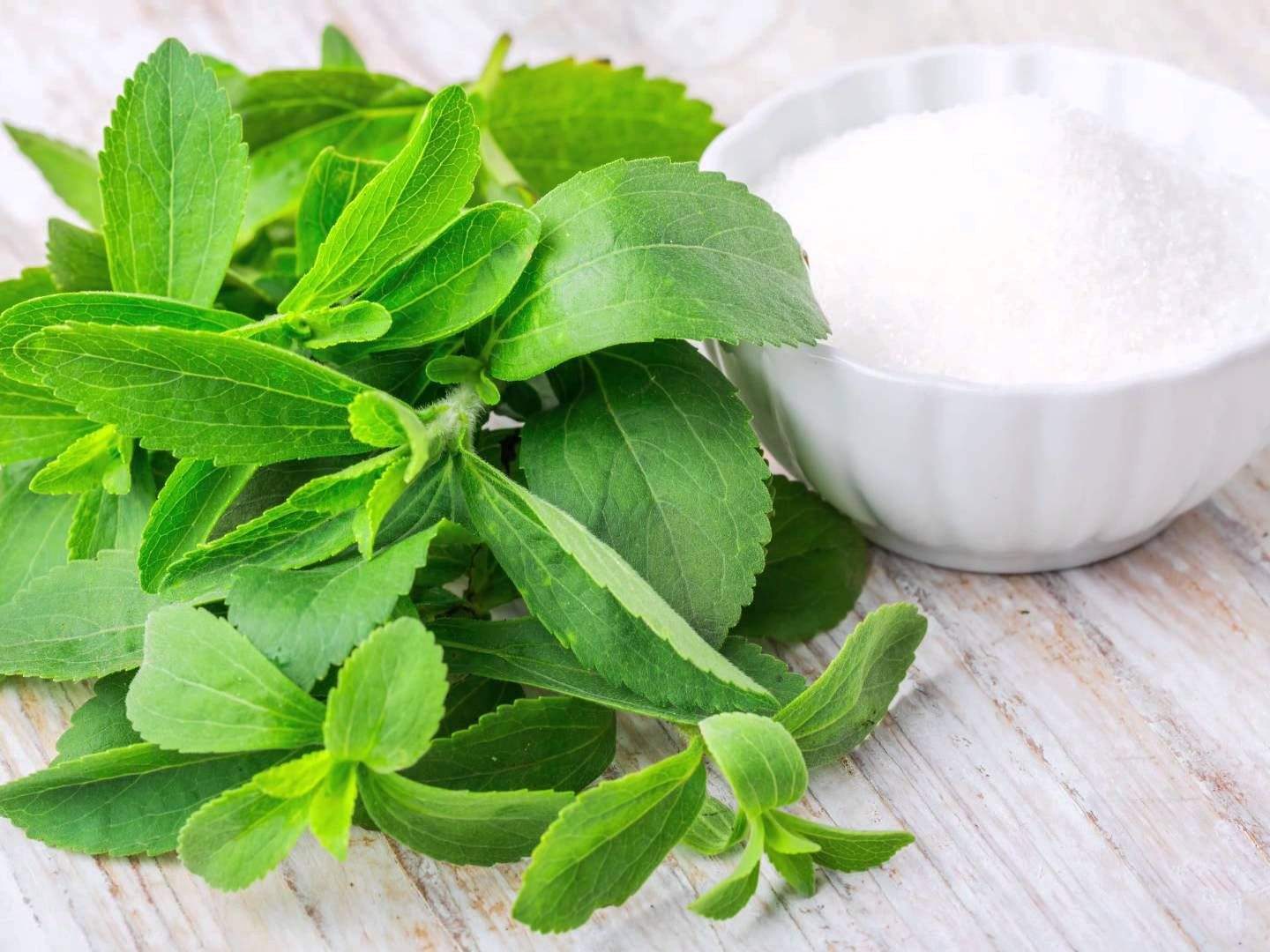 Stevia