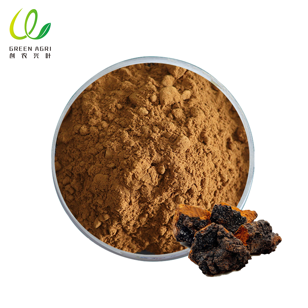 organic chaga powder