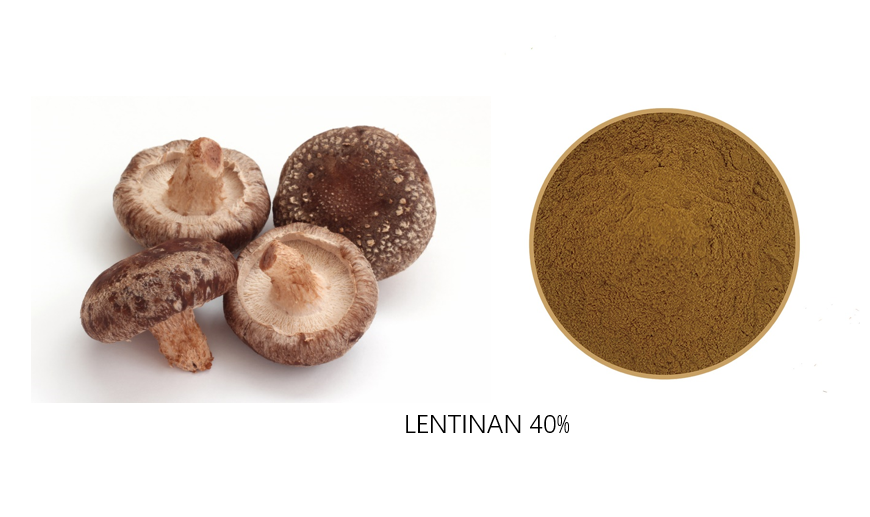 Lentinan 40%