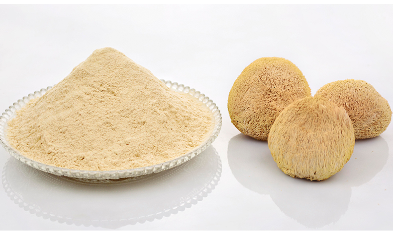 Why Added Hericium Erinaceus Powder to Pet Food?