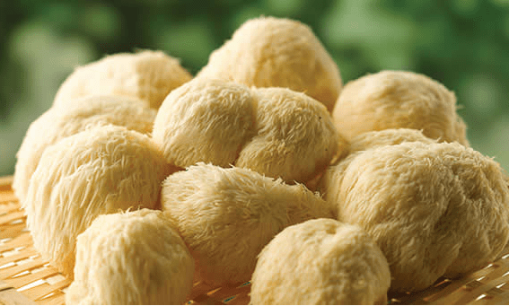 Lion’s Mane Mushroom